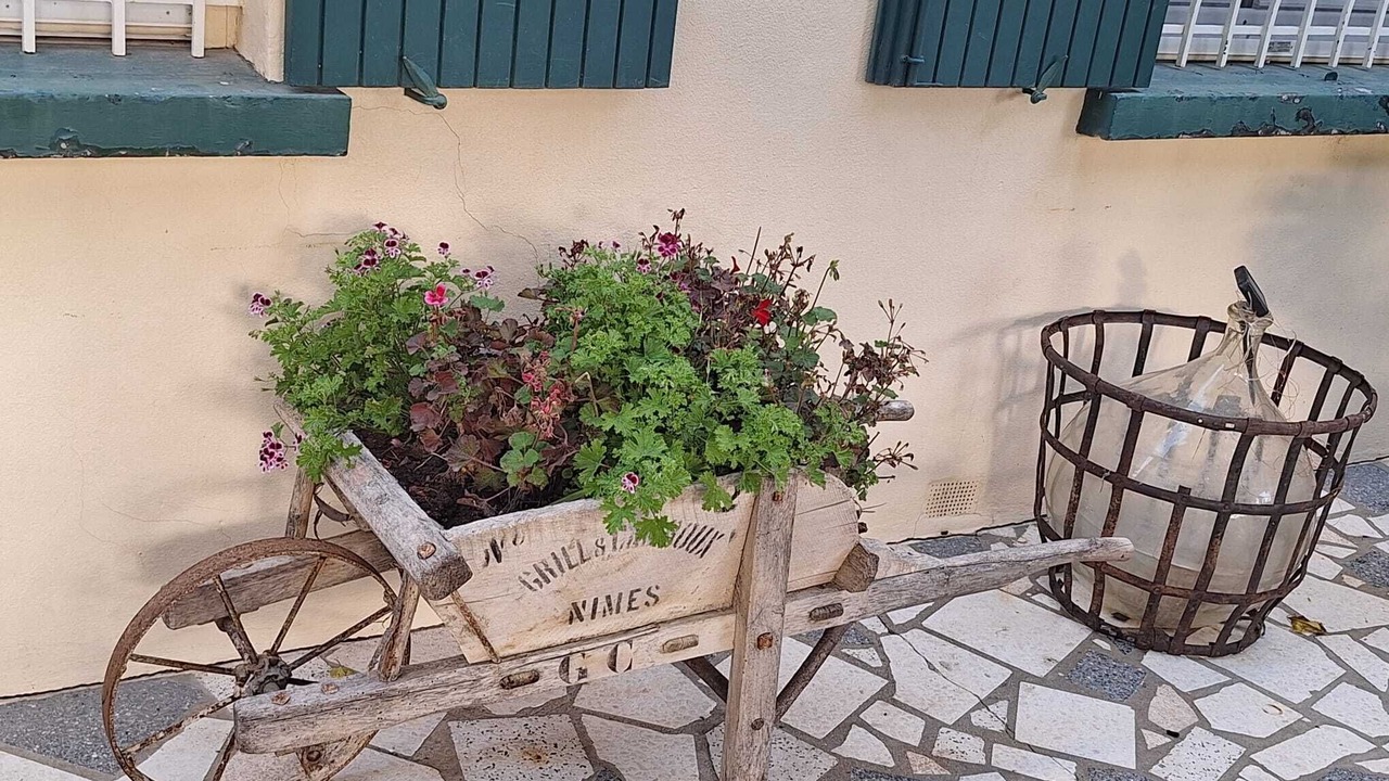Photo of Outdoor in Avignon