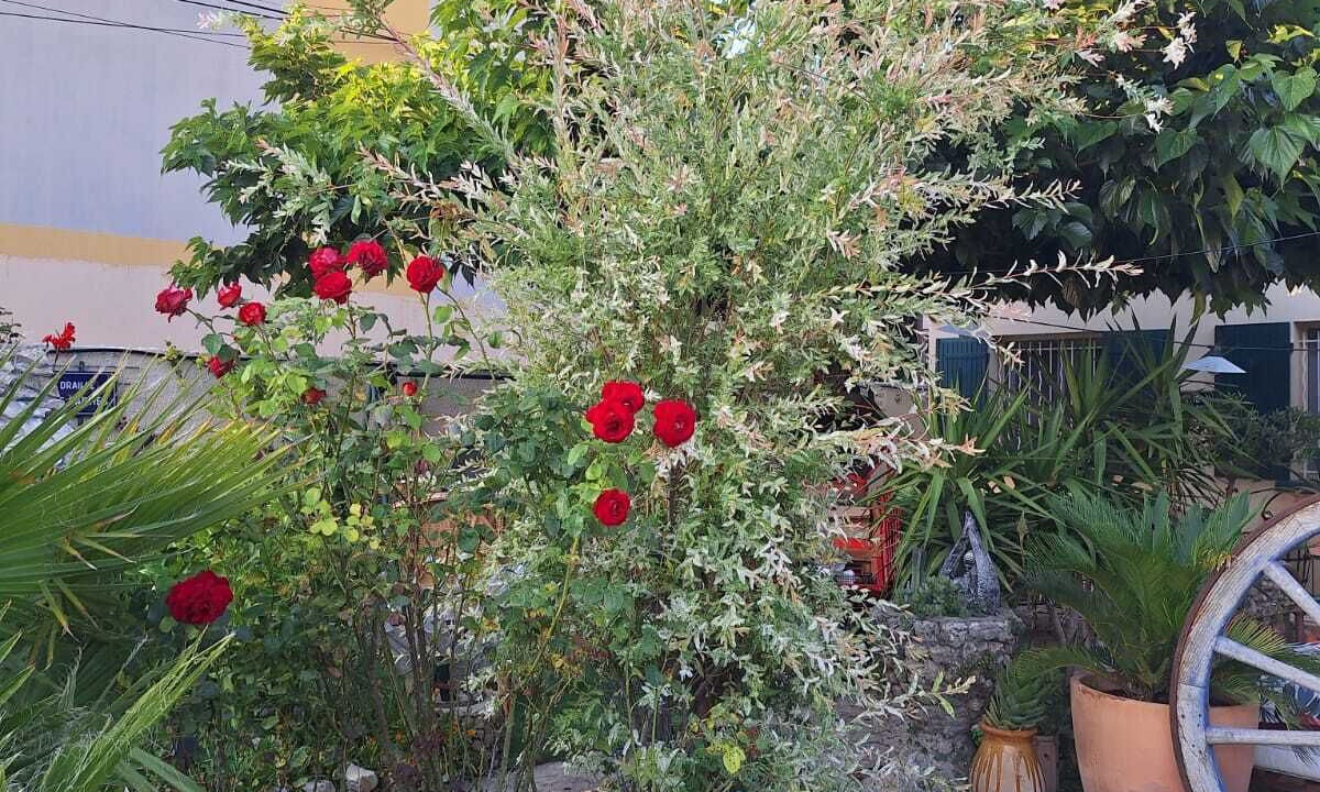Photo of Outdoor in Avignon