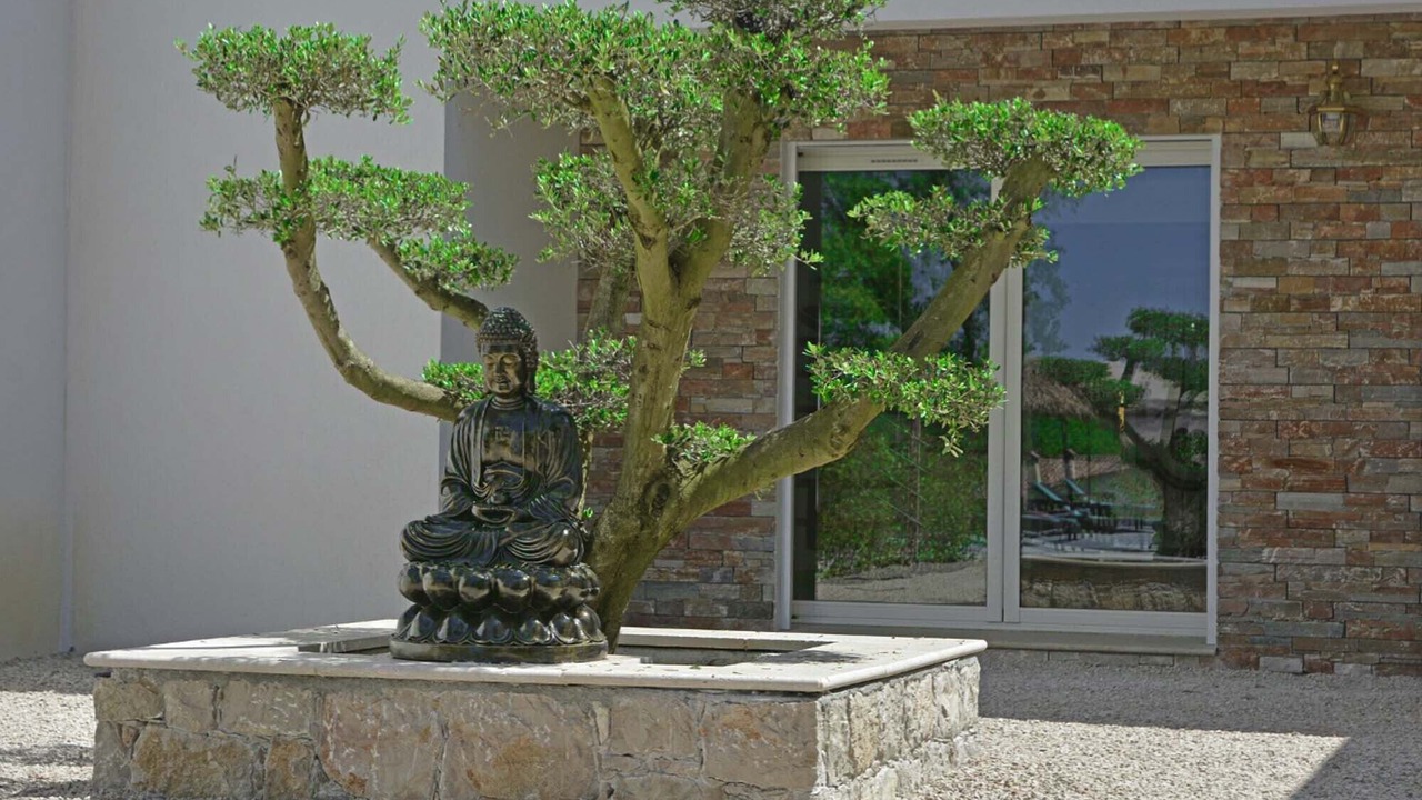 Photo of Outdoor in Montauroux
