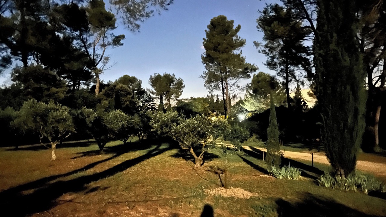 Photo of Outdoor in St.-Remy-de-Provence