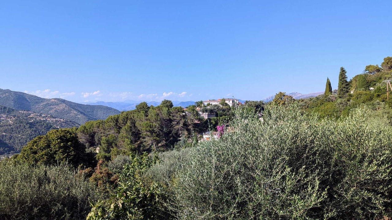 Photo of Outdoor in La Trinite