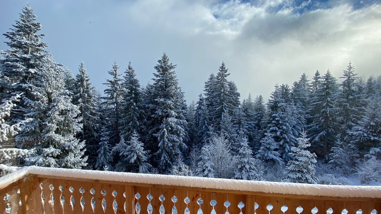 Photo of Outdoor in Selonnet