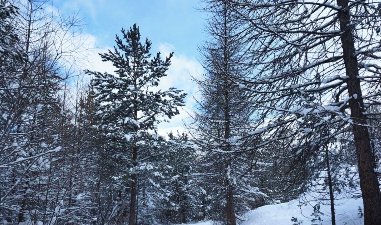 Photo of Others in Jausiers