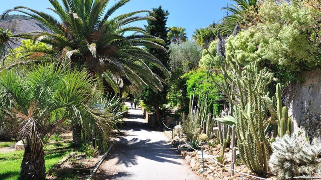 Photo of Outdoor in Gemenos