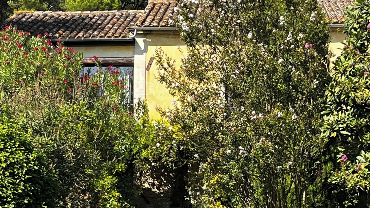 Photo of Outdoor in Maussane