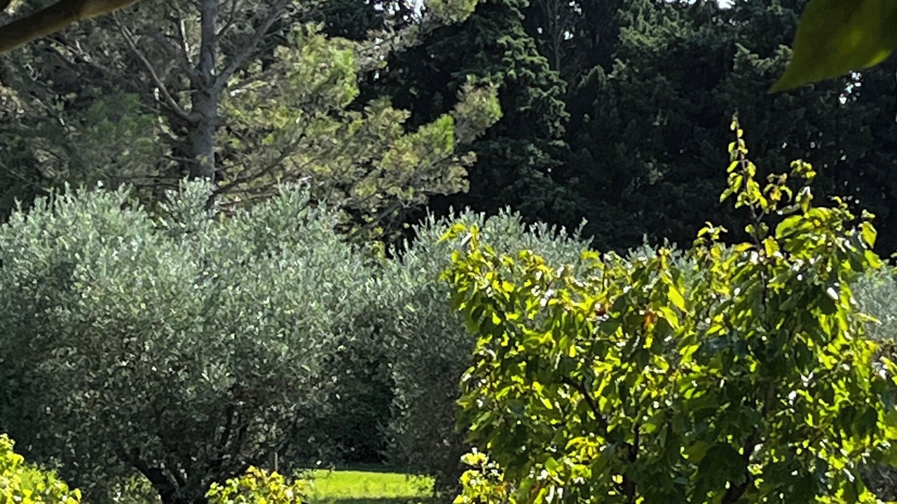 Photo of Outdoor in Maussane