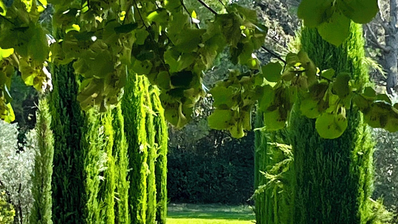 Photo of Outdoor in Maussane