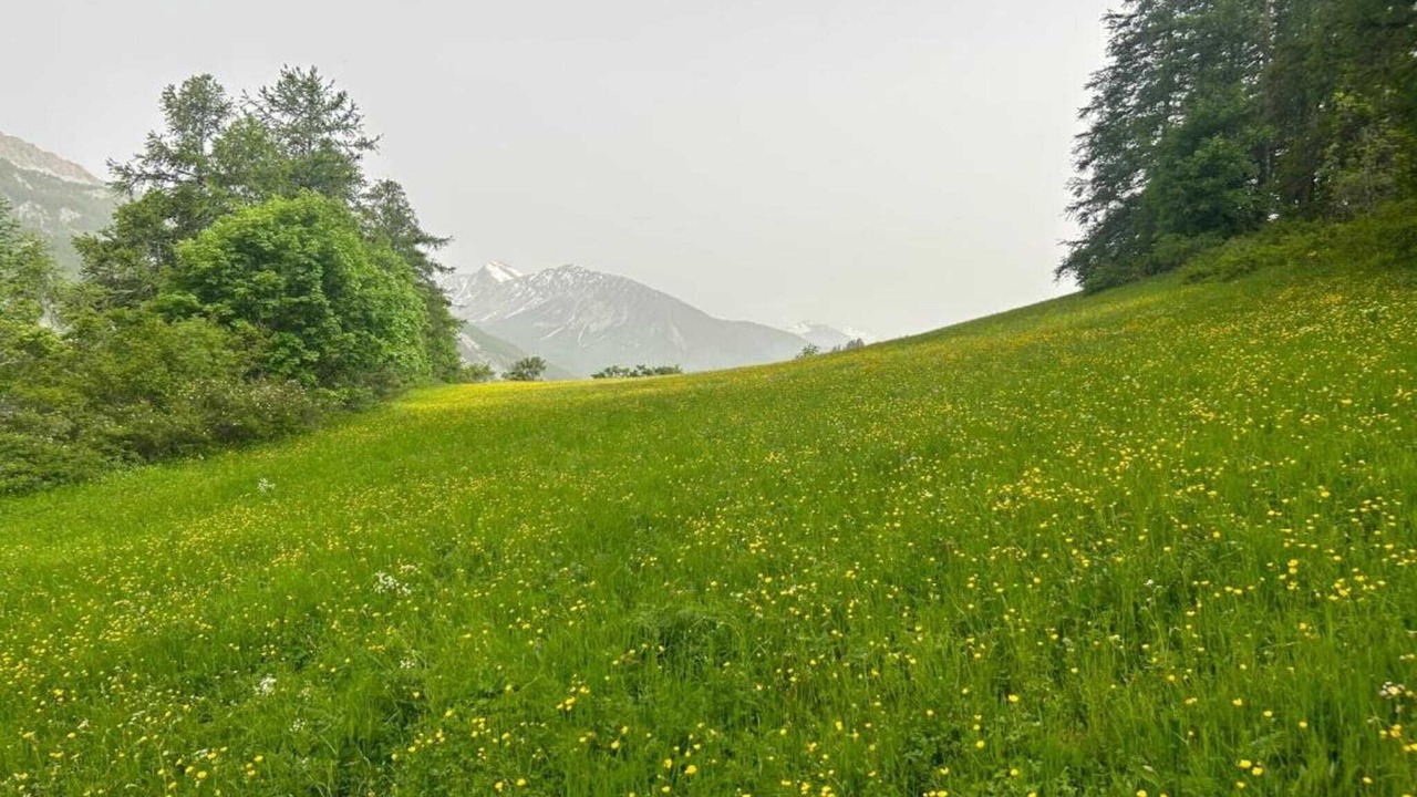 Photo of Others in Allos