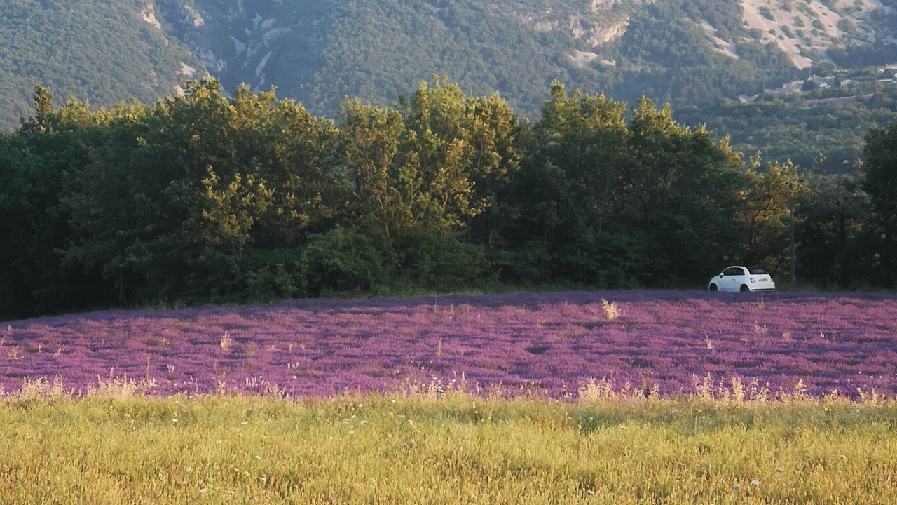 Photo of Others in Saint-Martin-de-Castillon