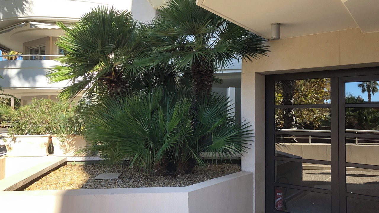 Photo of Outdoor in Frejus Plage