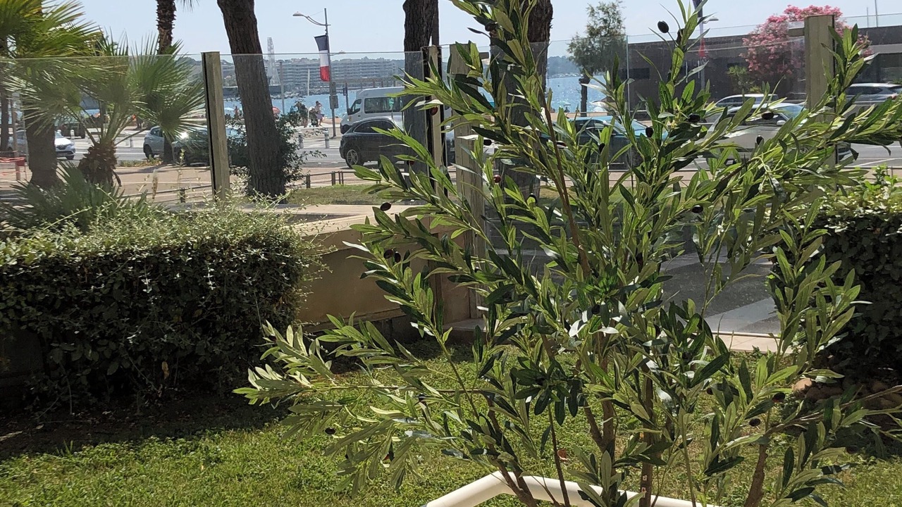 Photo of Outdoor in Frejus Plage