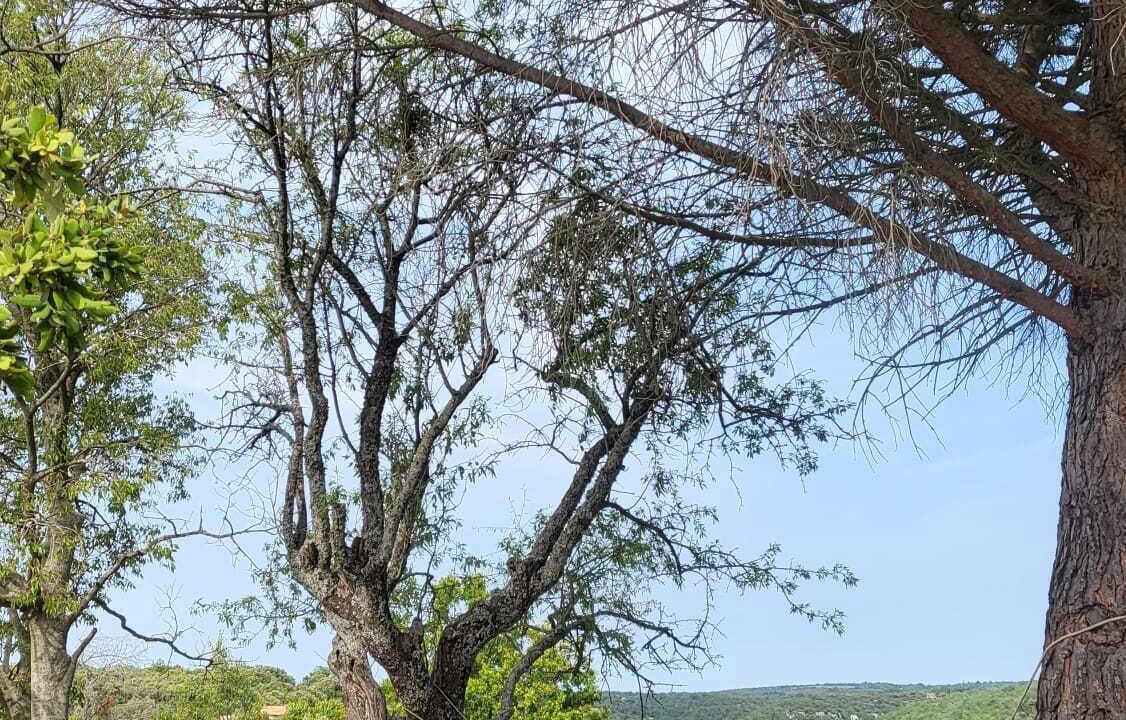 Photo of Others in Buoux