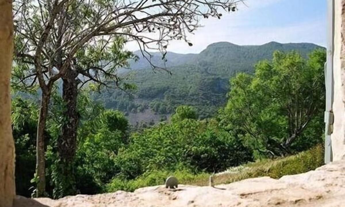 Photo of Others in Buoux