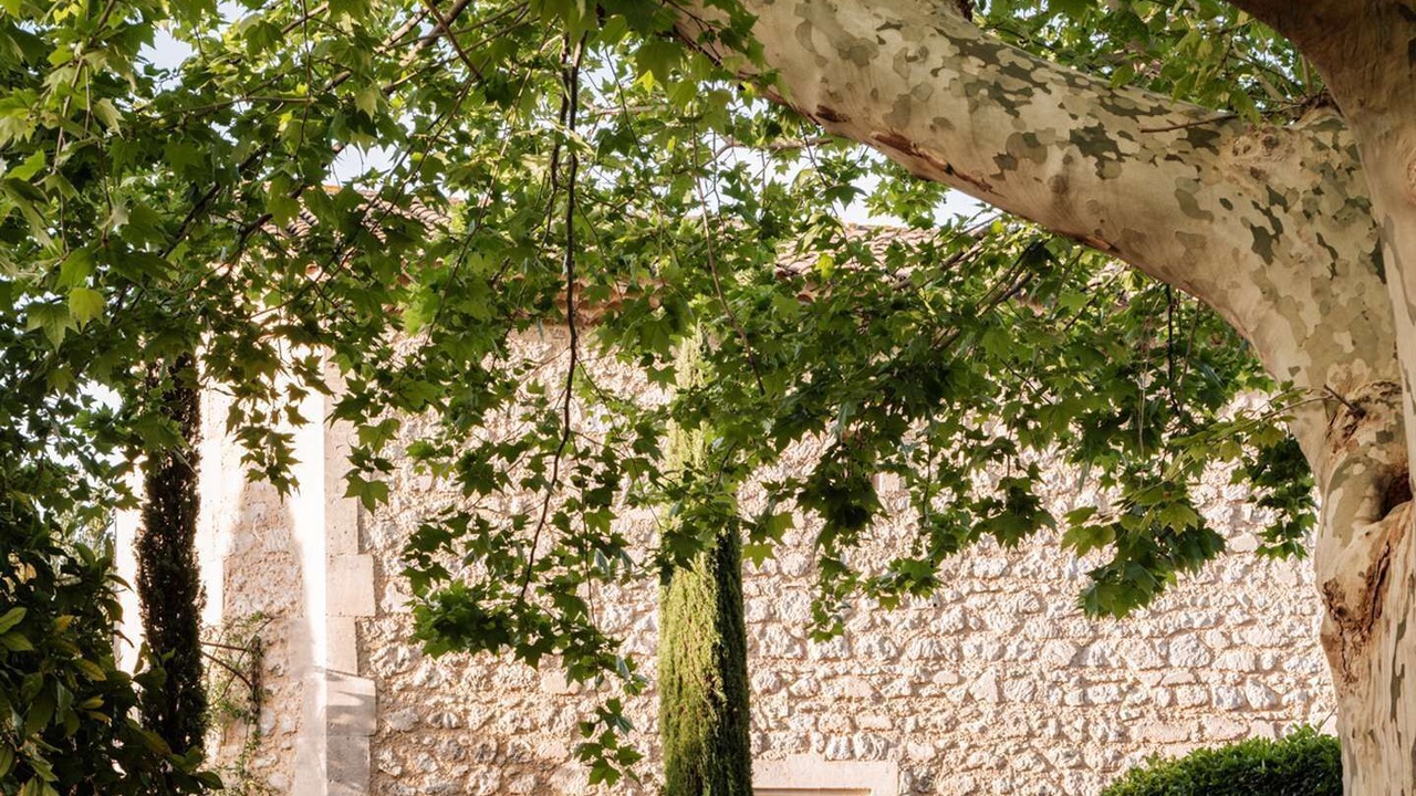 Photo of Outdoor in Mouries