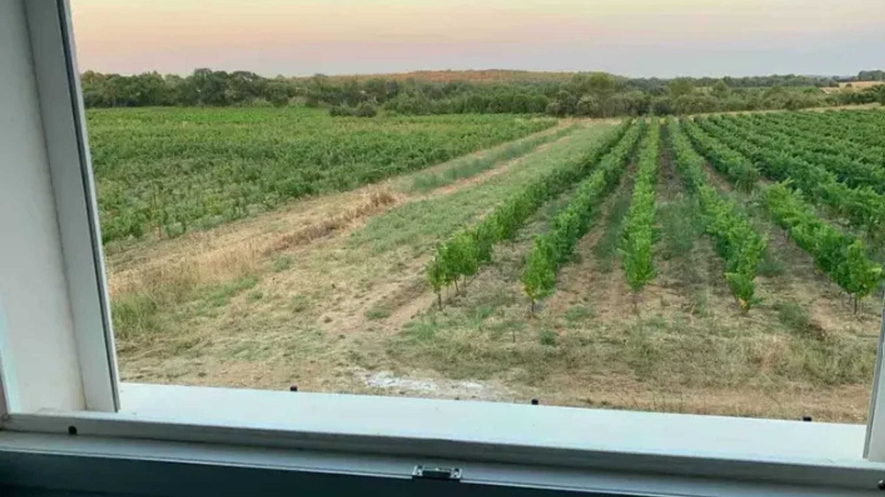 Photo of Outdoor in Restinclieres