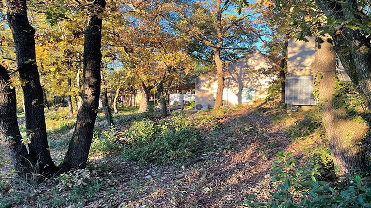 Photo of Outdoor in Velleron