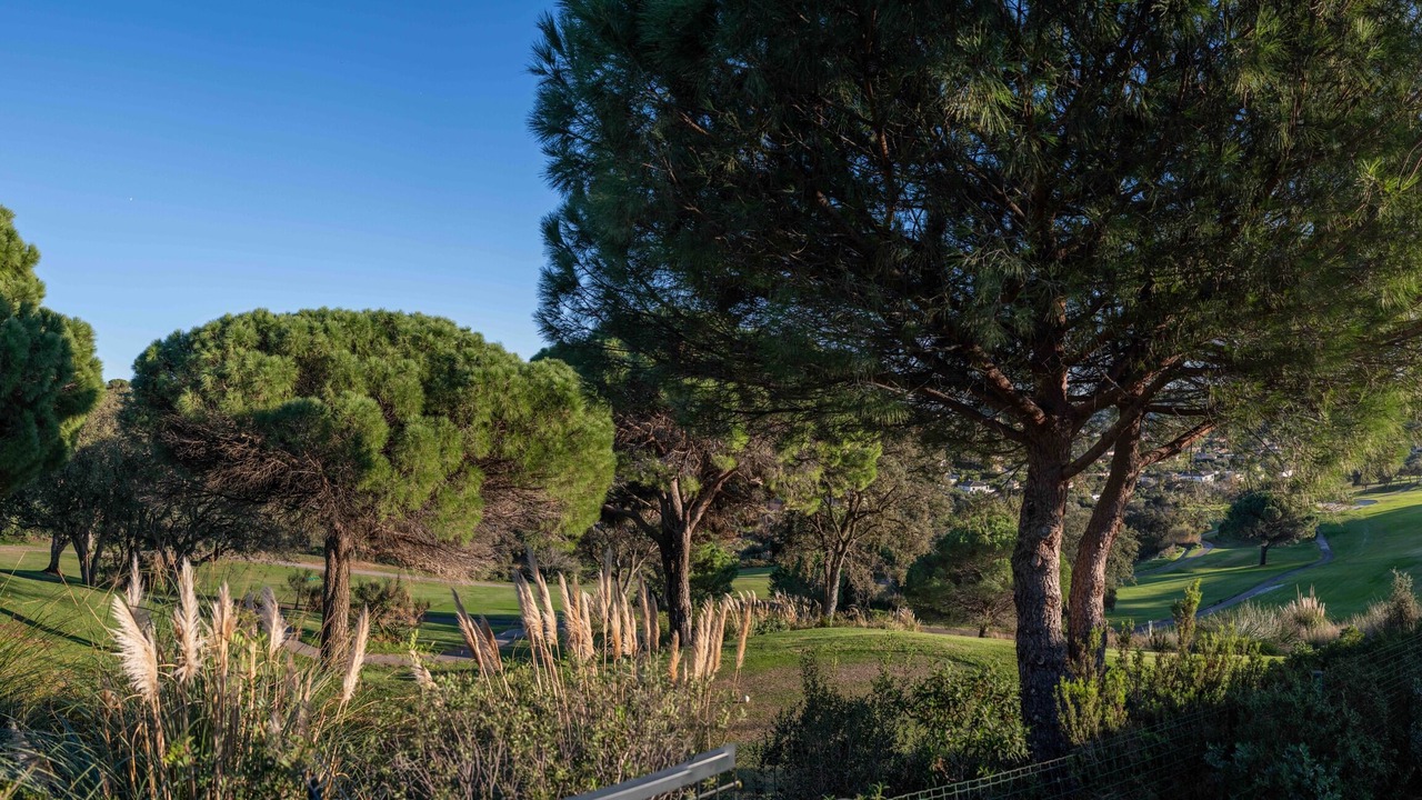 Photo of Outdoor in Sainte-Maxime
