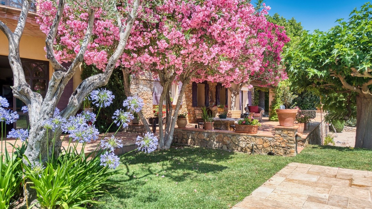 Photo of Outdoor in Draguignan