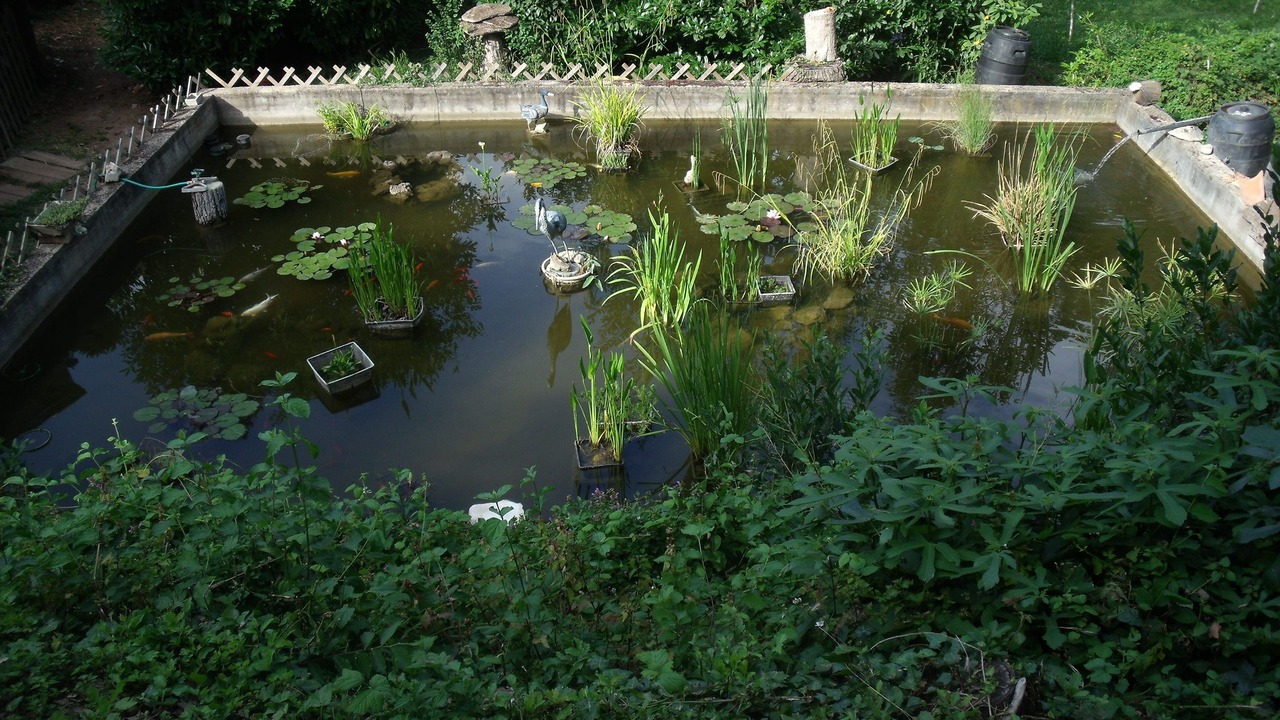 Photo of Outdoor in Salernes