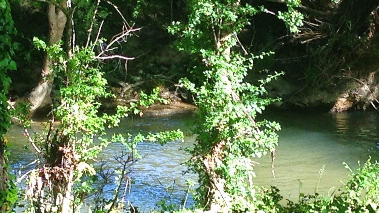 Photo of Outdoor in Salernes
