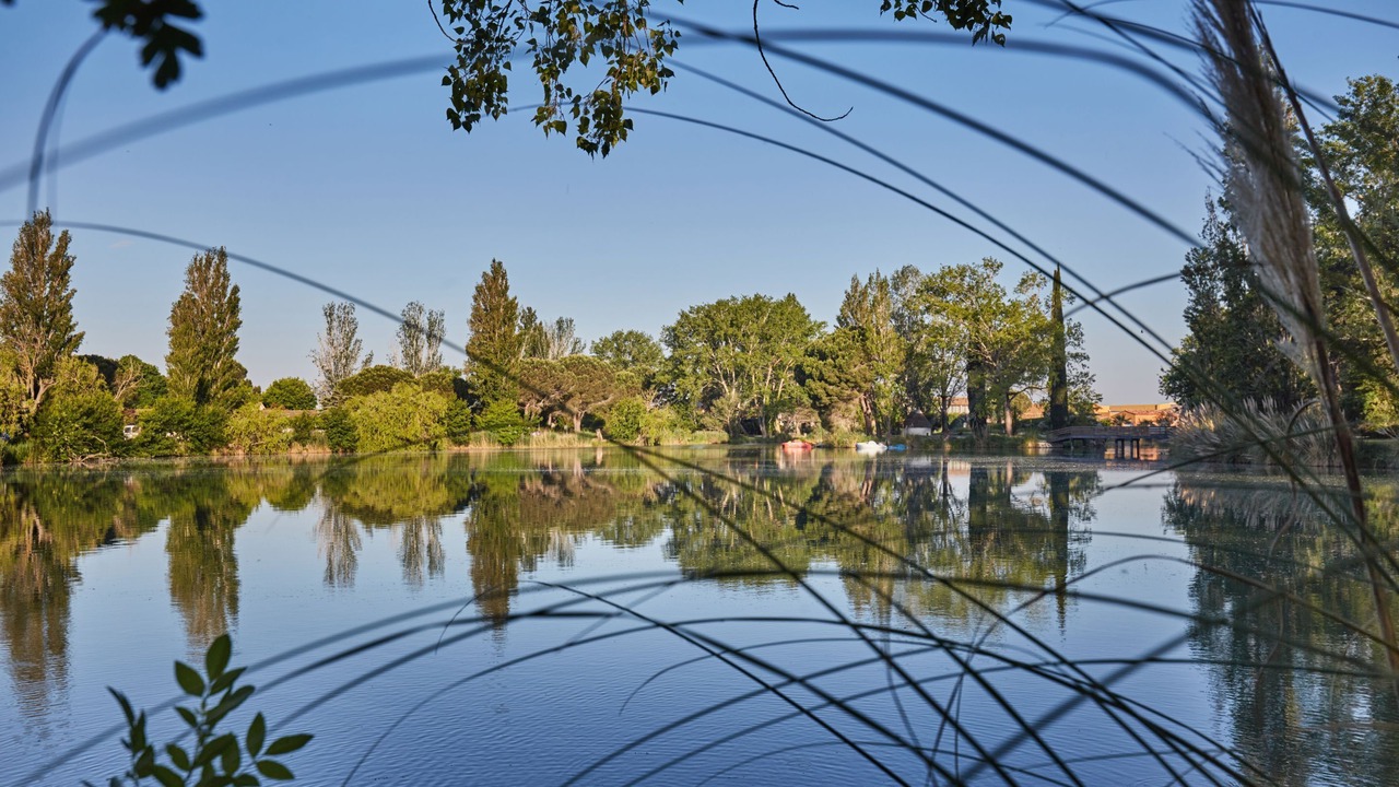 Photo of Outdoor in Arles