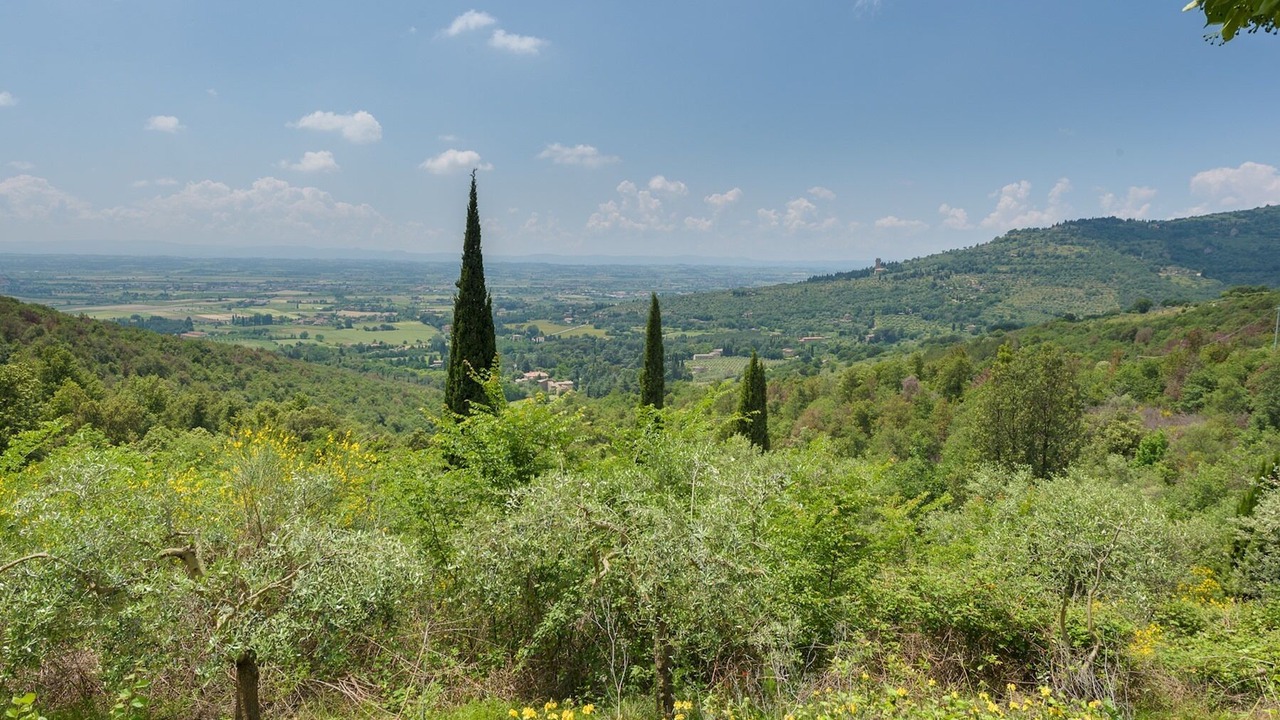Photo of Outdoor in Cortona