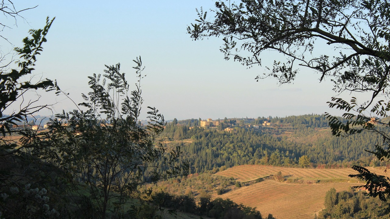 Photo of Outdoor in Castellina in Chianti