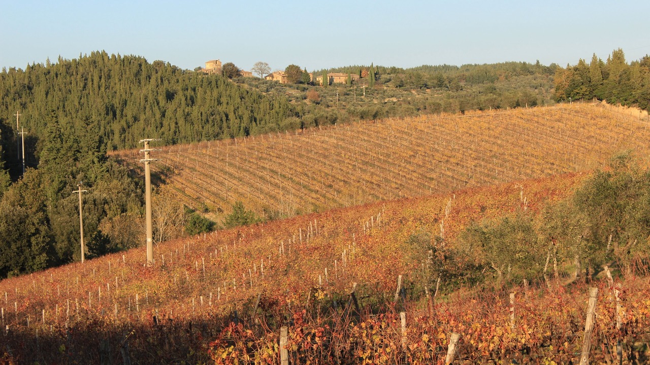 Photo of Outdoor in Castellina in Chianti