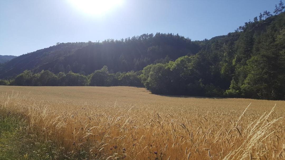 Photo of Others in Plan-d'Aups-Sainte-Baume