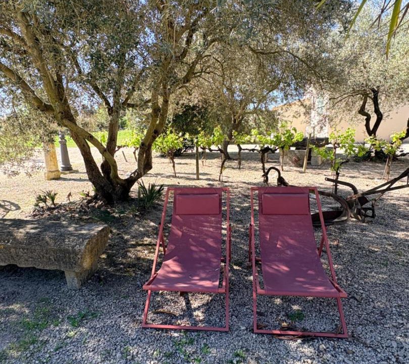 Photo of Others in Maillane