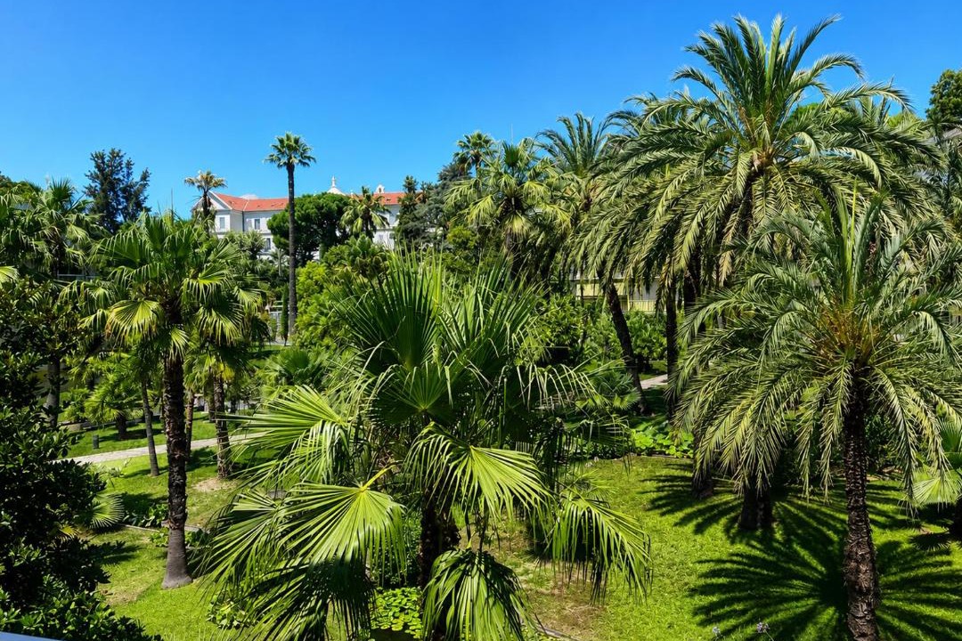 Photo of Others in California - Pezou