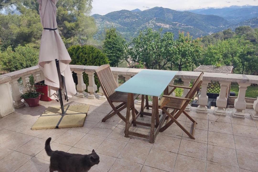 Photo of Others in Nice