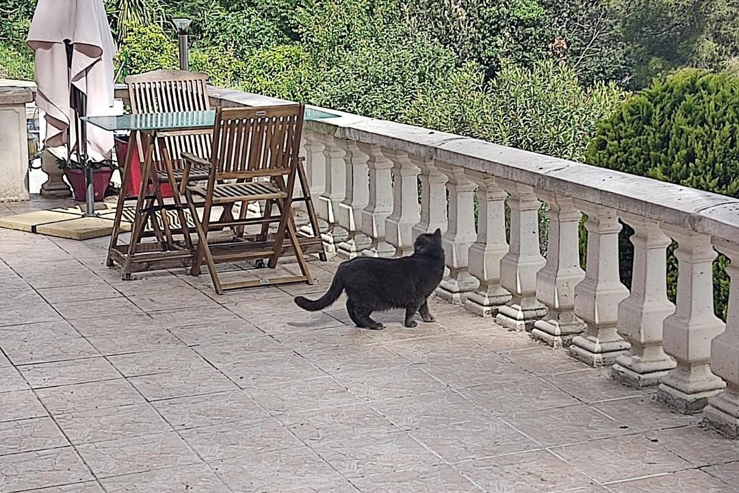 Photo of Others in Nice