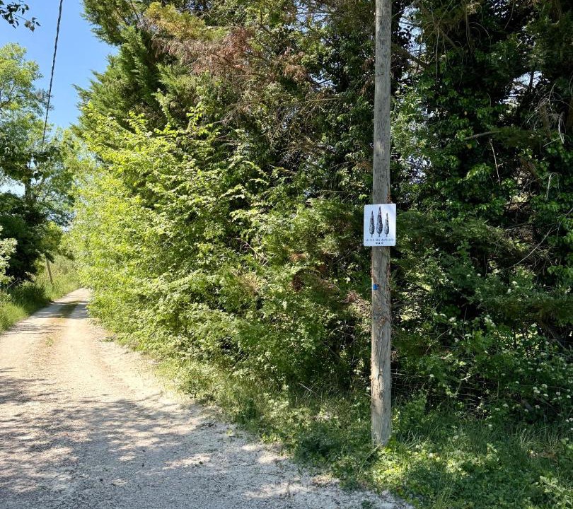 Photo of Others in Molleges