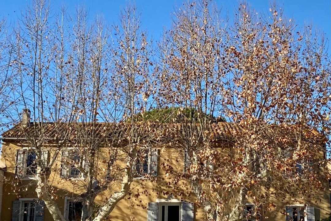 Photo of Others in Les Lecques
