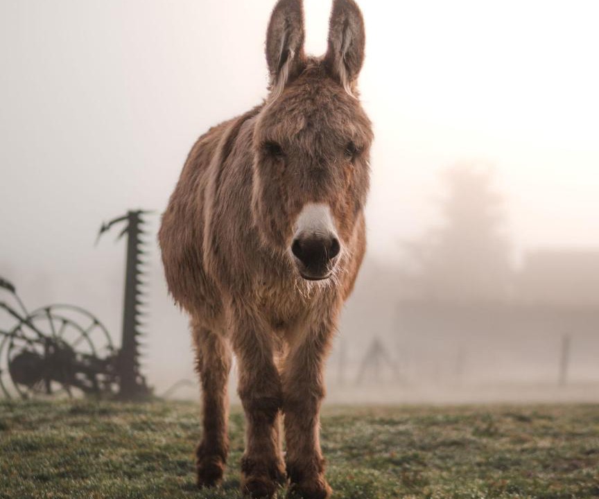 Photo of Others in Champtercier