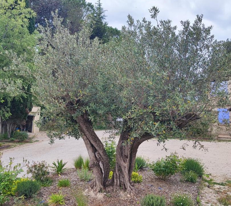 Photo of Others in Eyguieres