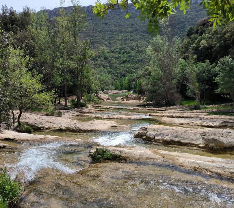 Photo of Others in Portel-des-Corbieres