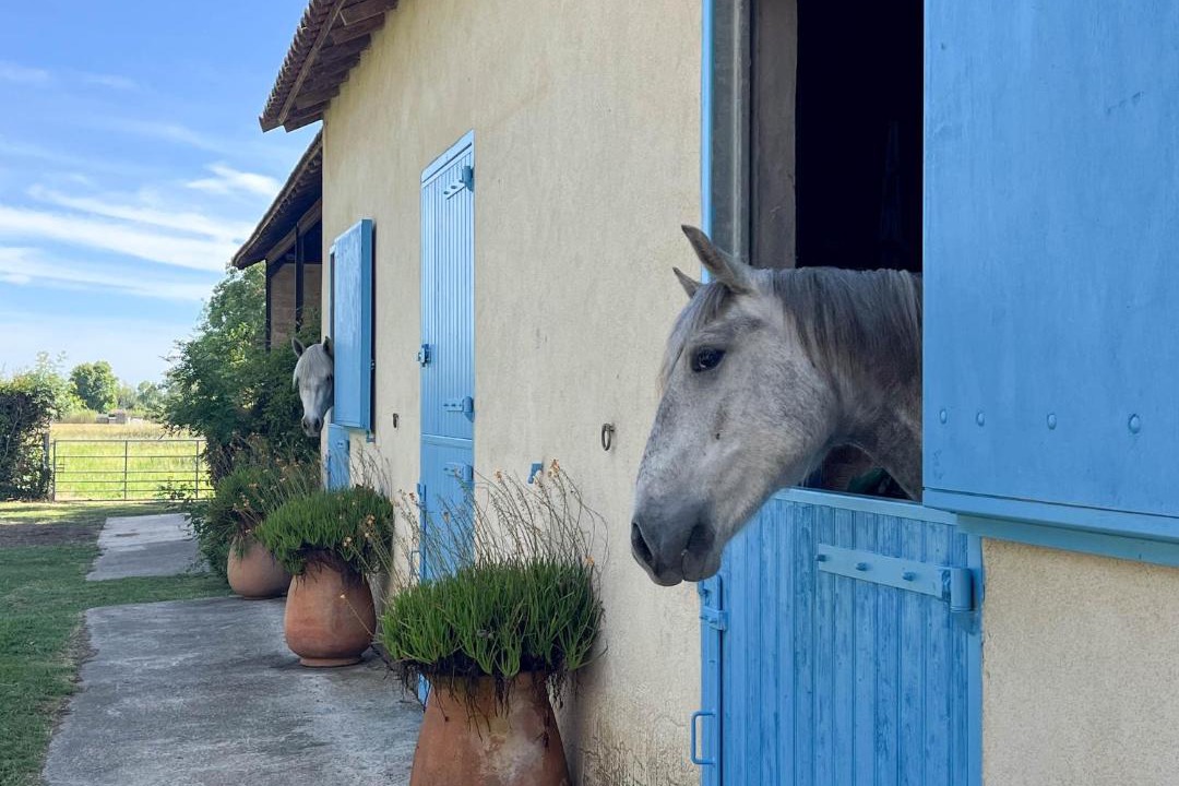 Photo of Others in Arles