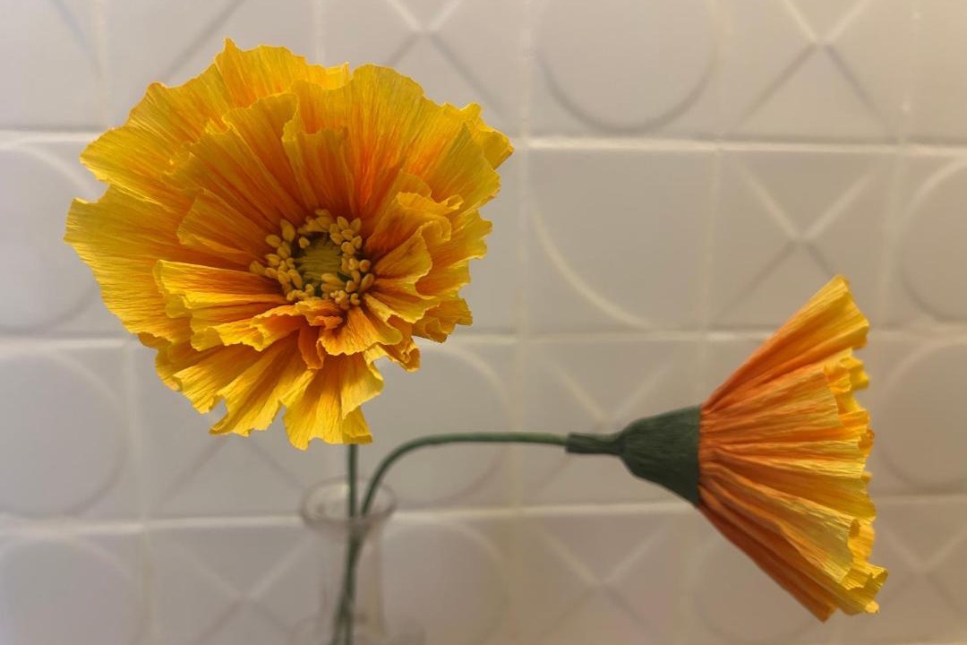 Photo of Bathroom in Vallerargues