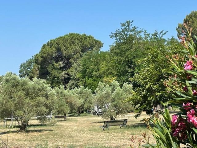 Photo of Others in Lambesc
