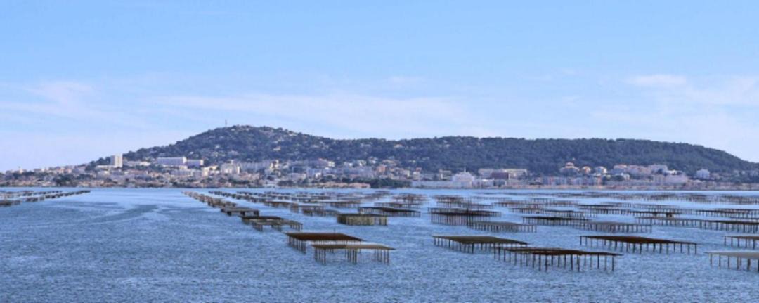 Photo of Others in Marseillan