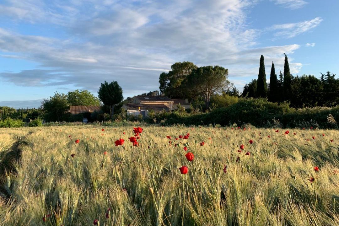 Photo of Others in Serviers-et-Labaume