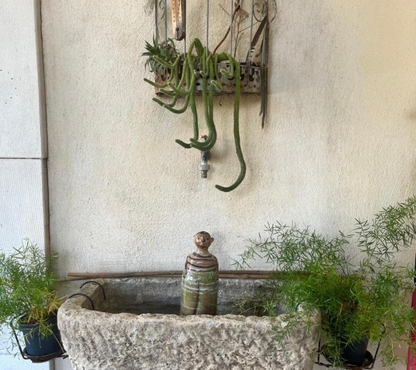 Photo of Others in Rognonas