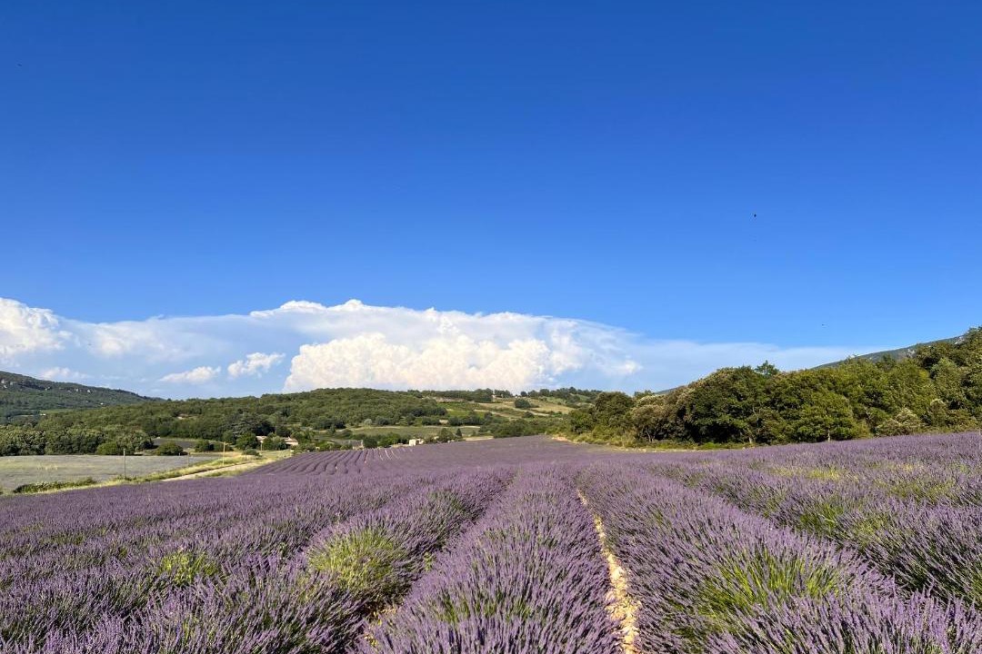 Photo of Others in Saint-Martin-de-Castillon