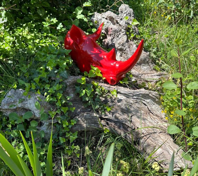 Photo of Outdoor in Simiane-Collongue