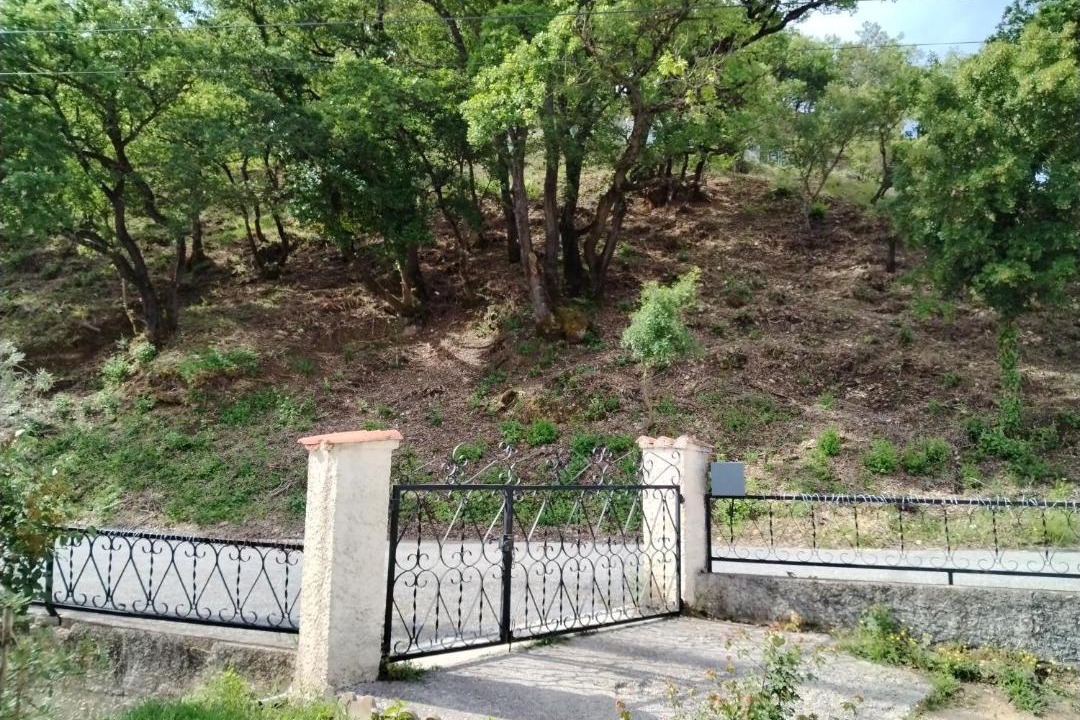 Photo of Others in Malijai