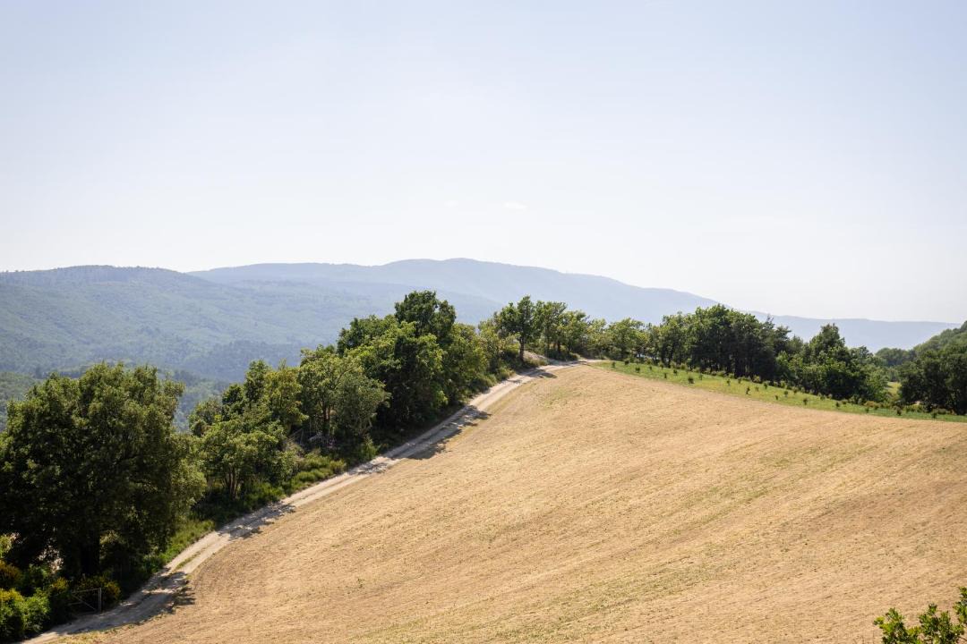 Photo of Others in Montjustin