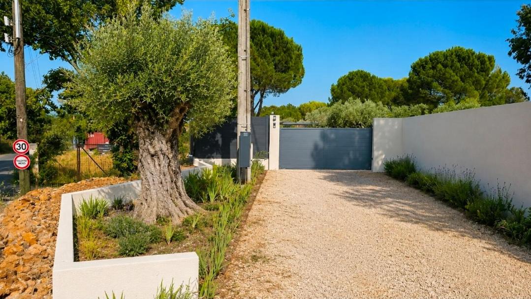 Photo of Others in Saint-Maximin-la-Sainte-Baume
