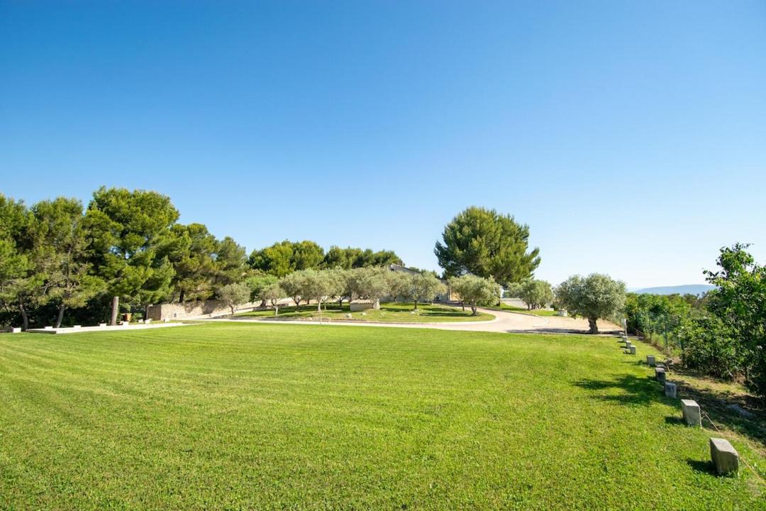 Photo of Others in Cavaillon